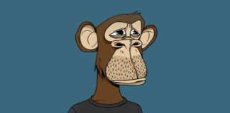 Le NFT Bored Ape de Justin Bieber acheté 1,3 million de dollars ne vaut plus que 70 000 $ ! NFT Bored Ape de Justin Bieber