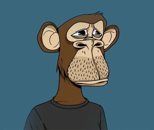 Le NFT Bored Ape de Justin Bieber acheté 1,3 million de dollars ne vaut plus que 70 000 $ ! NFT Bored Ape de Justin Bieber
