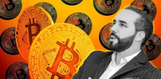 Le Salvador va acheter 1 bitcoin par jour annonce Bukele bitcoin et Bukele