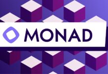 Monad : vue d’ensemble des solutions de scaling solutions de scaling Monad