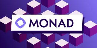 Monad : vue d’ensemble des solutions de scaling solutions de scaling Monad