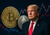 Bitcoin, Ethereum… Trump à la manœuvre : jusqu’où la volatilité des cryptomonnaies nous mène-t-elle ? Bitcoin, EthereumTrump à la manœuvre jusqu’où la volatilité des cryptomonnaies nous mène-t-elle