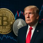 Bitcoin, Ethereum… Trump à la manœuvre : jusqu’où la volatilité des cryptomonnaies nous mène-t-elle ? Bitcoin, EthereumTrump à la manœuvre jusqu’où la volatilité des cryptomonnaies nous mène-t-elle